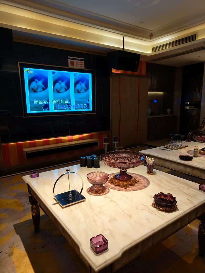 商丘商务ktv能否组局详解-柘城县ktv预订